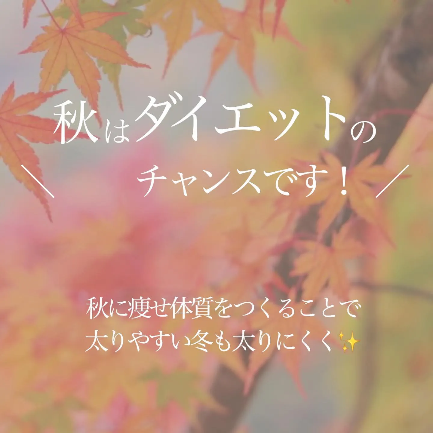 日中はまだ暑い日が続きますが