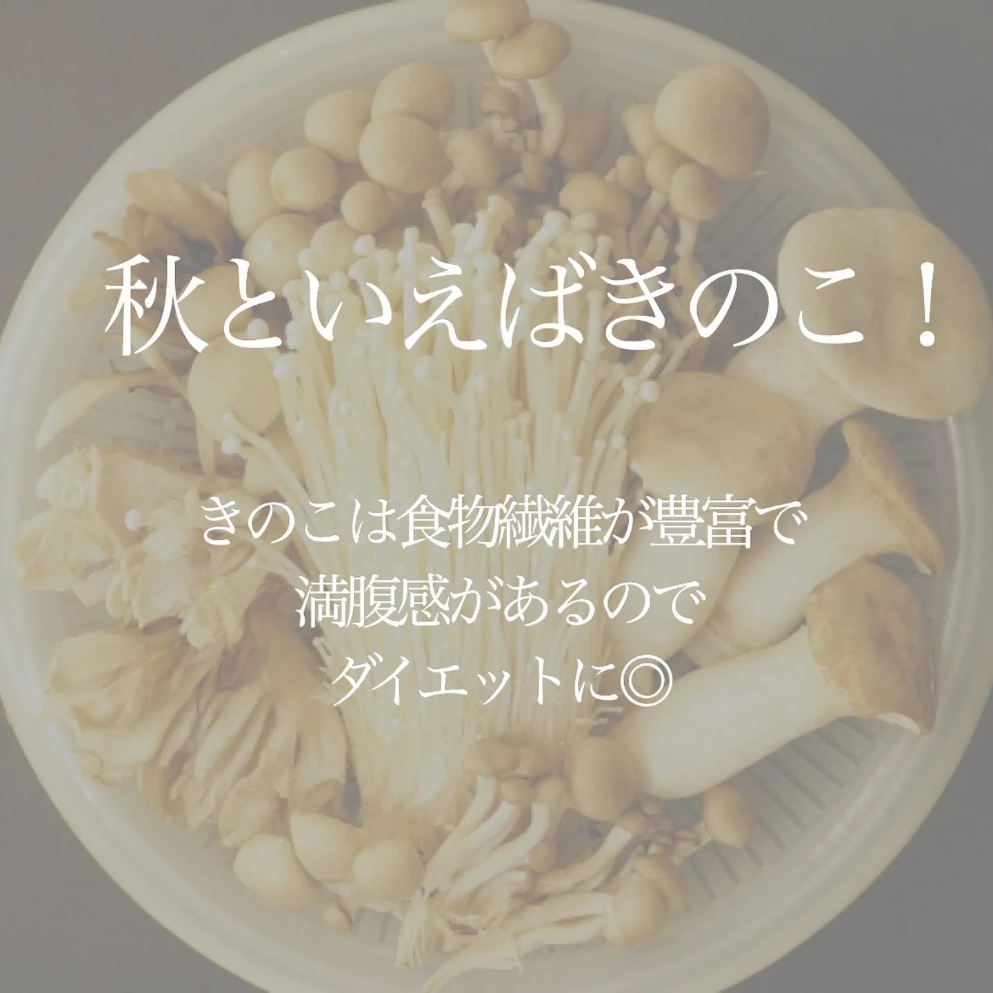 日中はまだ暑い日が続きますが