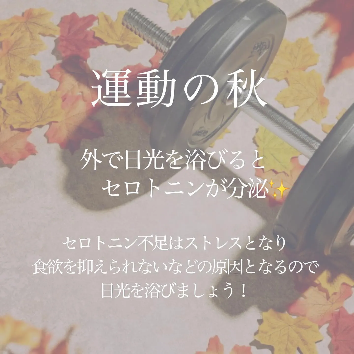 日中はまだ暑い日が続きますが