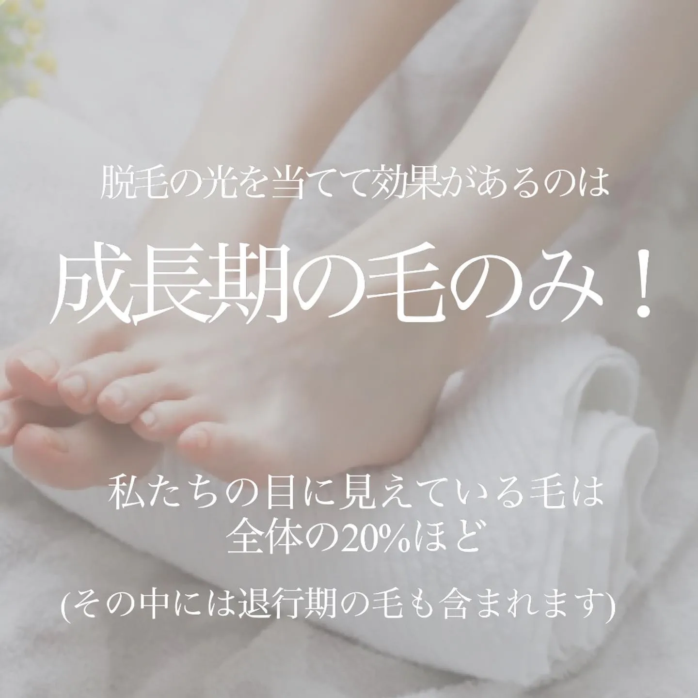 ＼　脱毛って1度で終わらないのはなぜ？　／