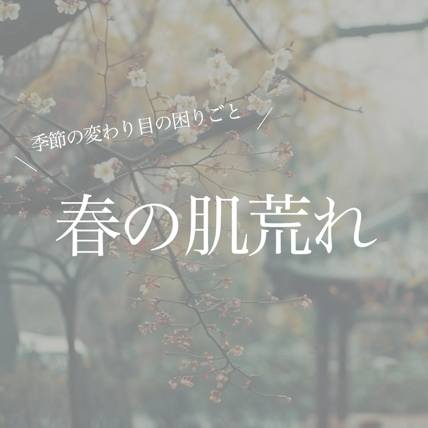 まだ風が冷たく寒い日もありますが、