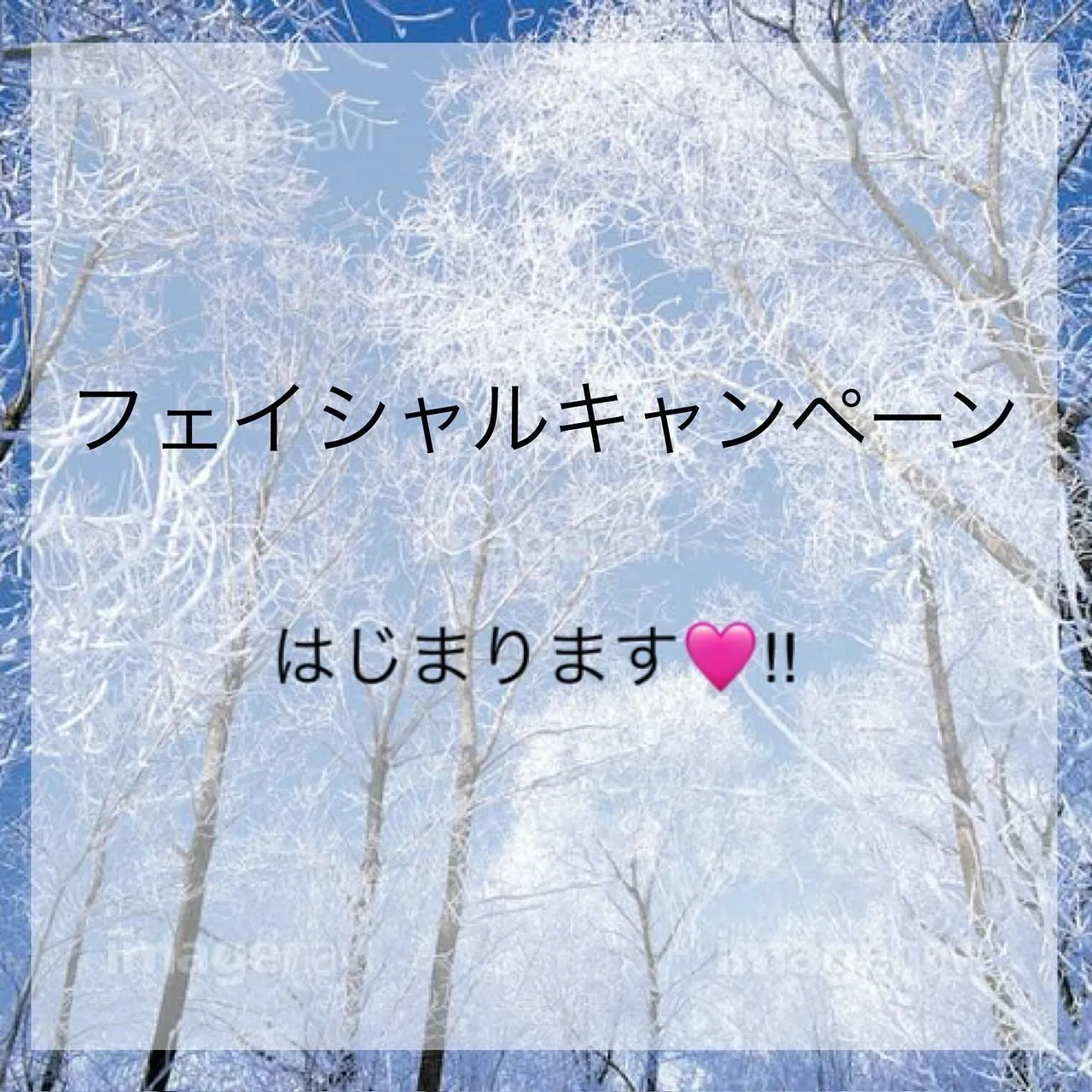 フェイシャルキャンペーン始まります📢✨